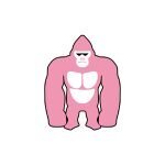 Pink Gorilla Fashion coupons and promo codes