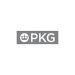 PKing coupons and promo codes