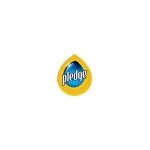 Pledge coupons and promo codes