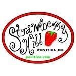 Povitica.com coupons and promo codes