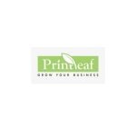 Printleaf coupons and promo codes