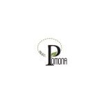 Projectpomona.com coupons and promo codes