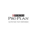 Pro Plan coupons and promo codes