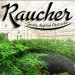 Raucher coupons and promo codes