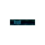 Rayger coupons and promo codes