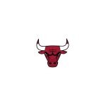 Chicago Bulls on NBA Store coupons and promo codes