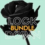 Sounds Like You coupons and promo codes