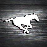 Calgary Stampeders coupons and promo codes