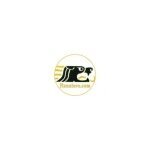 Renstore coupons and promo codes