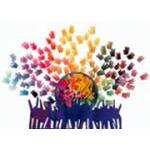 Syracuse Cultural Workers coupons and promo codes