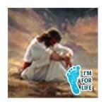 Quexion, Llc coupons and promo codes