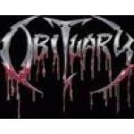 Theconnextion.com coupons and promo codes