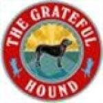 Thegratefulhound.com coupons and promo codes