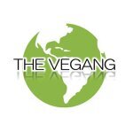The Vegang World coupons and promo codes