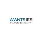 The Wantsies coupons and promo codes