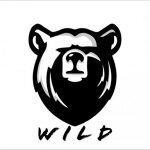 The Wild Research coupons and promo codes