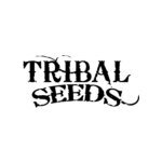 Tribal Seeds coupons and promo codes