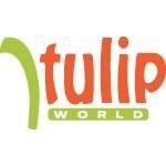 Tulip World coupons and promo codes