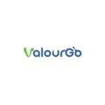 Valourgo coupons and promo codes