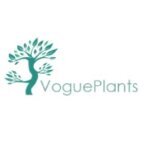 Vogue Plants coupons and promo codes