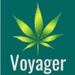 Voyager Life coupons and promo codes