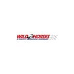 Wild Horses 4x4 coupons and promo codes