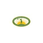 YWCP coupons and promo codes