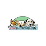 Your Purebred Puppy coupons and promo codes