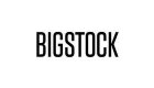 BigStockPhoto
