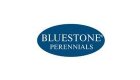 Bluestone Perennials