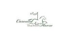 The Carousel Horse