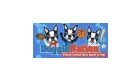 Doggie Nation