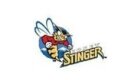 Honey Stinger