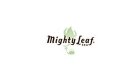 Mighty Leaf Tea