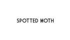 SPOTTED MOTH